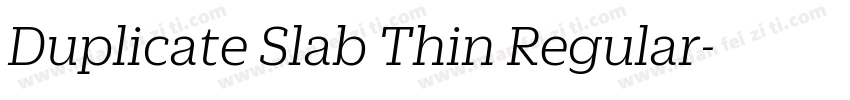Duplicate Slab Thin Regular字体转换